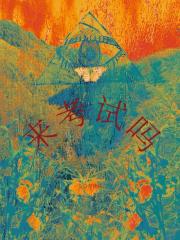 美妙天堂求生系统