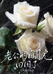 老公的白月光回国了