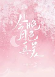 今晚月色真美[娱乐圈]