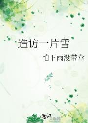 造访一片雪