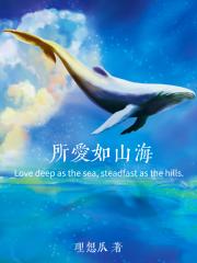 所爱如山海