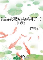 猫猫被死对头绑架了（电竞）