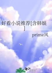 好看小说推荐[含韩娱]