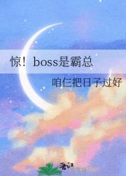 惊！boss是霸总