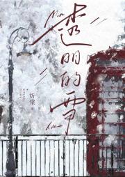 透明的雪[破镜重圆]