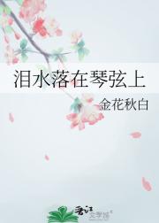 泪水落在琴弦上