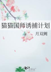 猫猫国师诱捕计划