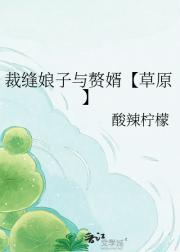 裁缝娘子与赘婿【草原】