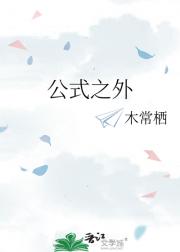 公式之外
