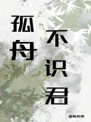 孤舟不识君