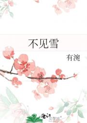 不见雪