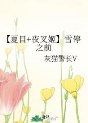 【夏目+夜叉姬】雪停之前