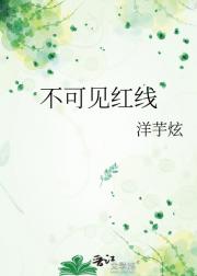 不可见红线