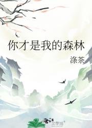 你才是我的森林