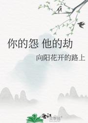 你的怨 他的劫