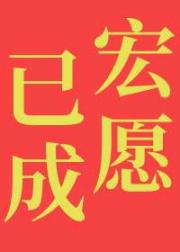 宏愿已成