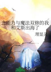 我靠魔法玩转伟大航路
