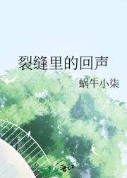 裂缝里的回声