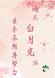 遇见白月光后，杀手不想再努力