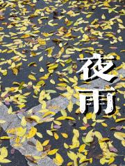 夜雨