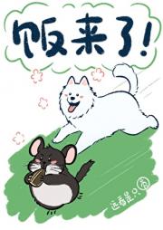 饭来了！