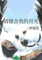 请缝合我的月光