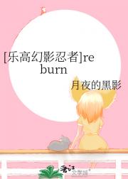 [乐高幻影忍者]reburn