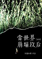 当世界崩塌以后［无限］