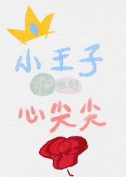 小王子和他的心尖尖