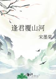 逢君覆山河
