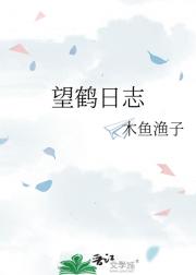 望鹤日志