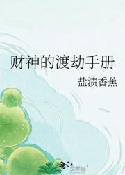 财神的渡劫手册