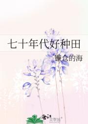 七十年代好种田