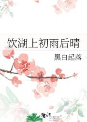 饮湖上初雨后晴