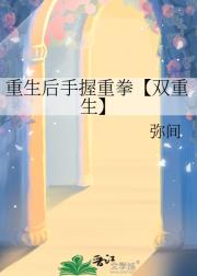 重生后手握重拳【双重生】