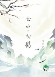 云中白鹤