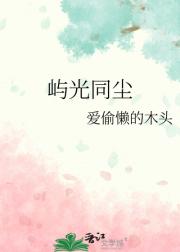 屿光同尘