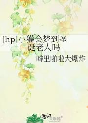 [hp]小獾会梦到圣诞老人吗