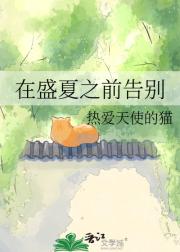 在盛夏之前告别