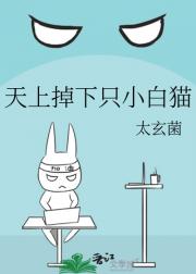 天上掉下只小白猫