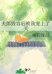 夫郎毁容后被我宠上了天