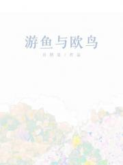 游鱼与欧鸟
