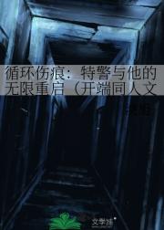 循环伤痕：特警与他的无限重启（开端同人文