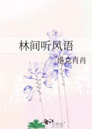 林间听风语