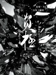 负极