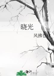晓光