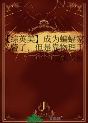 【综英美】成为蝙蝠家义警了，但是靠物理手