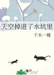 天空掉进了水坑里