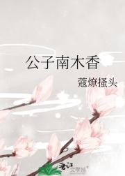 公子南木香