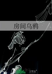 房间乌鸦
